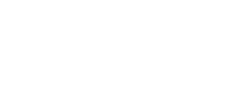 Logo White